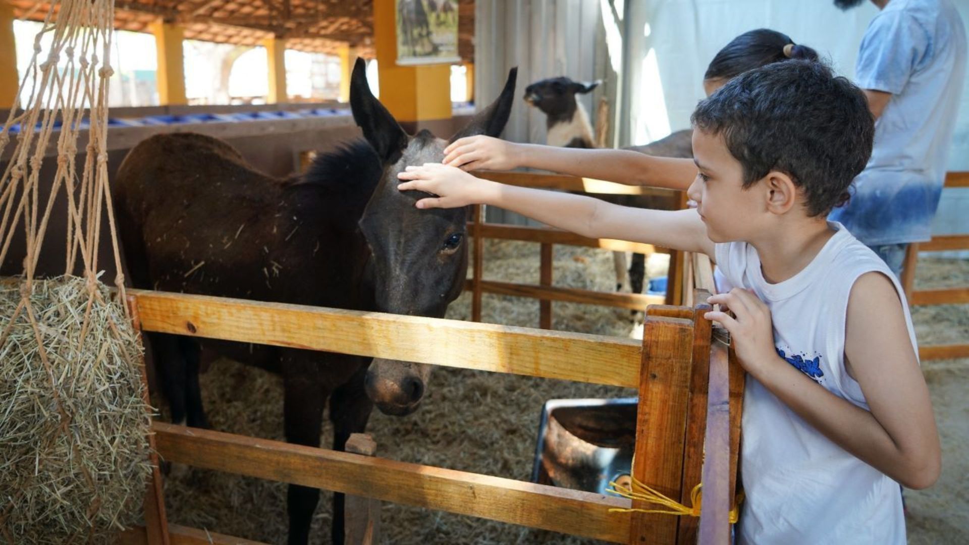Expo Rio Preto Destaca Corte e Inovações no Agro em 2025 - Imagem do artigo original