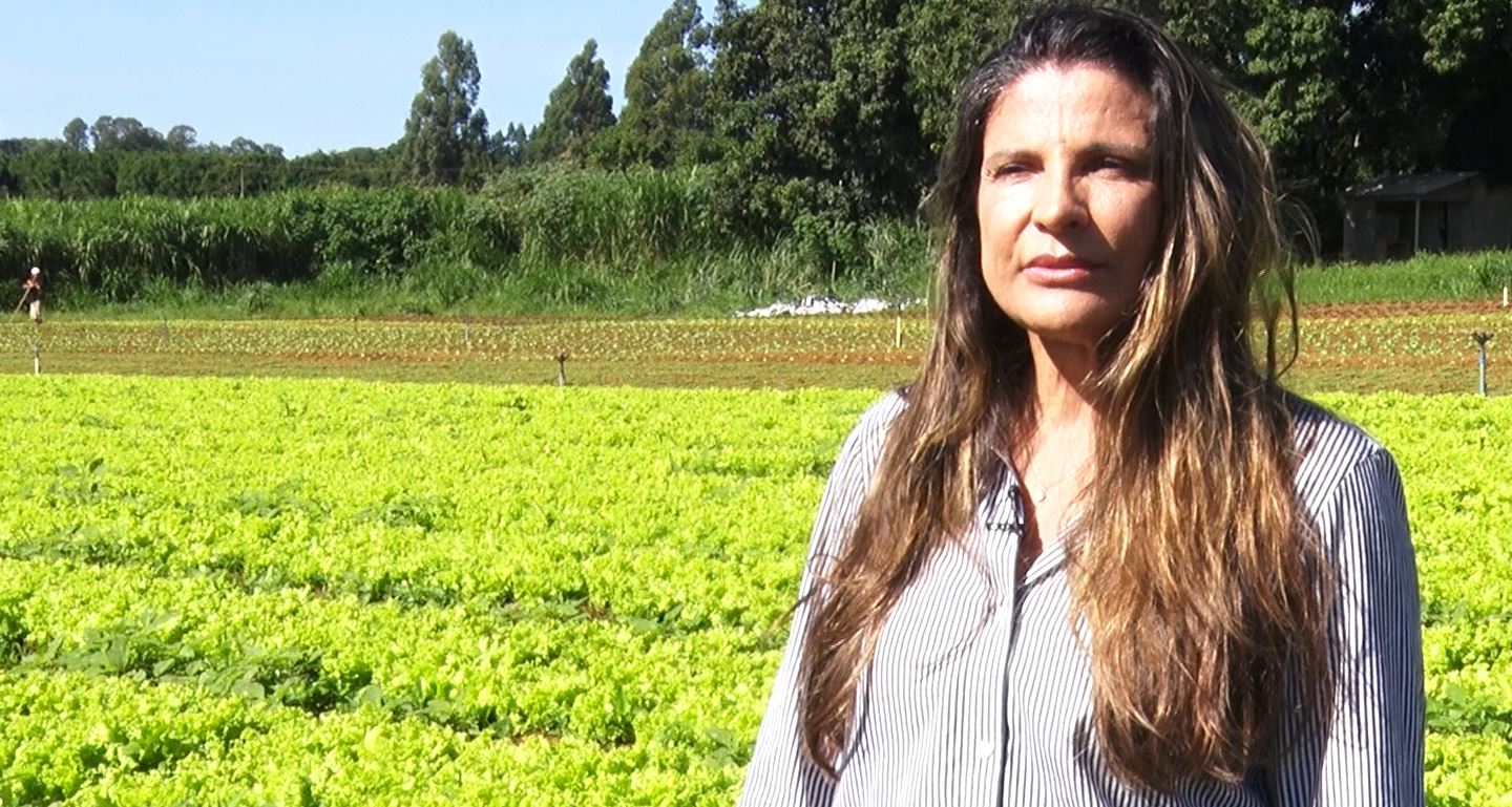 Vida no Campo