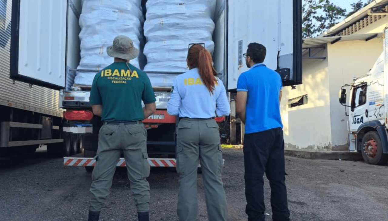 Ibama Apreende 60 Toneladas de Peixe em SC