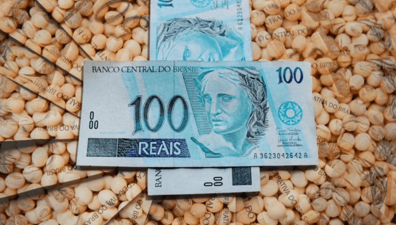 Custo da Soja 25/26 Cai 1,96% em MT em Setembro