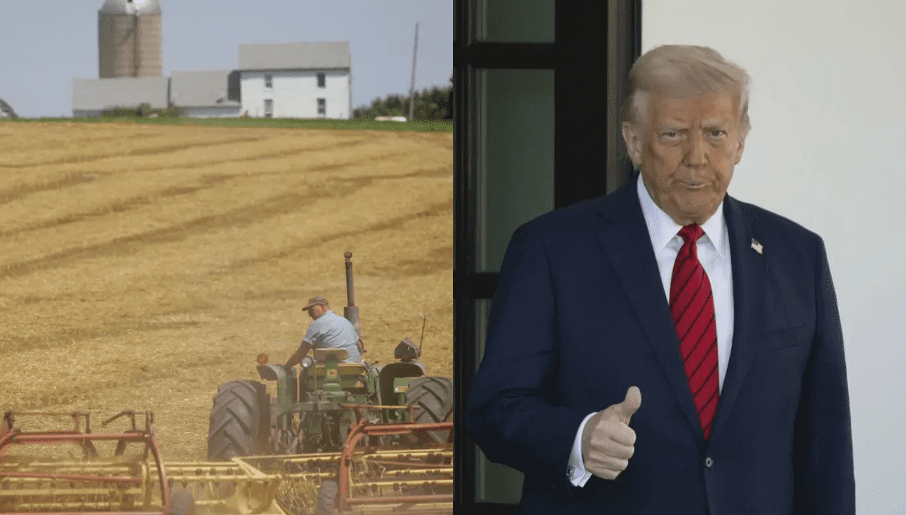 Trump Prepara Pacote de US$ 3 Bilhões Para Agricultores