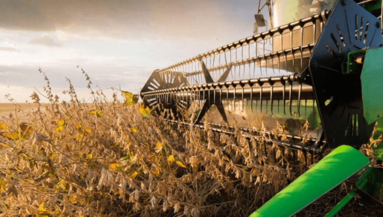 Paralisação nos EUA Afeta Preços da Soja no Brasil