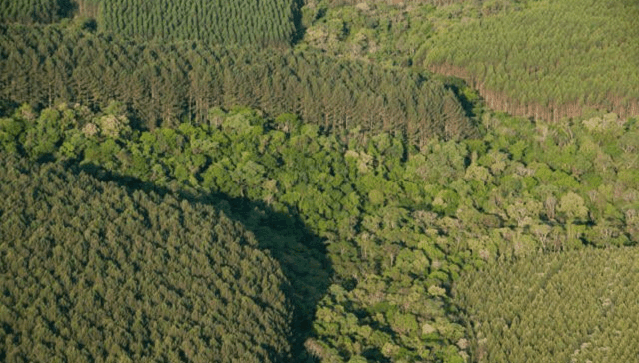 Sociedade Rural Quer Derrubar Vetos ao Licenciamento Ambiental