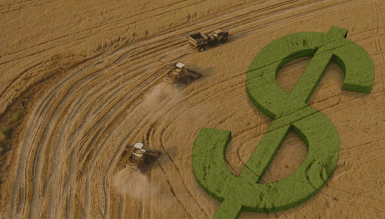 Crédito Rural Recua 12% nos Três Primeiros Meses do Plano Safra