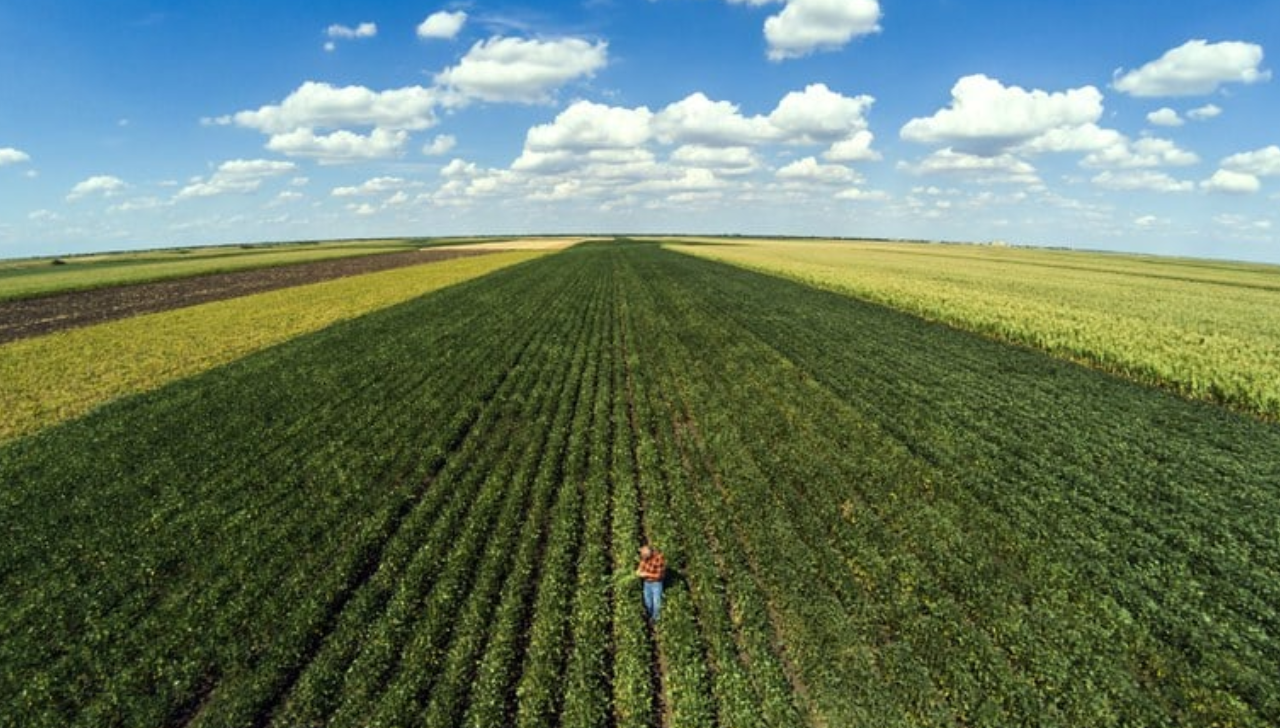 Alta dos Juros Reduz Crédito Rural Sustentável em 2025/26