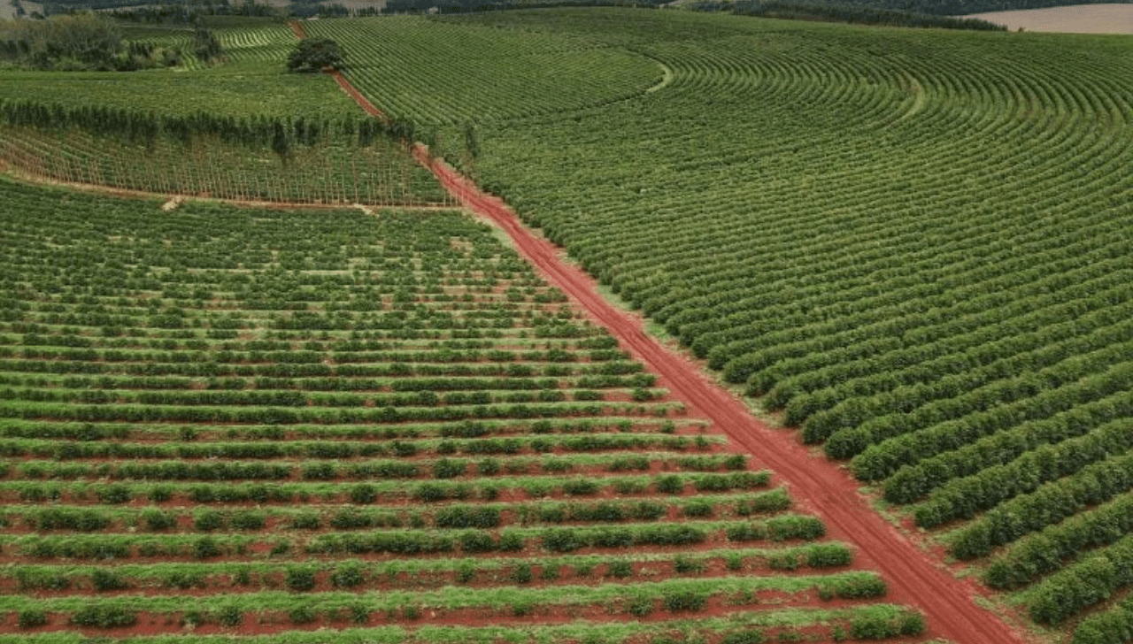 Câmara Debate Retomada de Fábricas de Fertilizantes