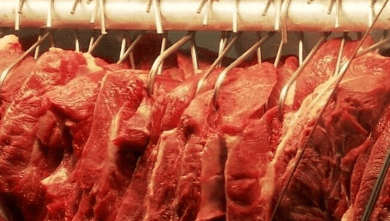 Exportações de Carne Bovina Avançam 26% em Outubro