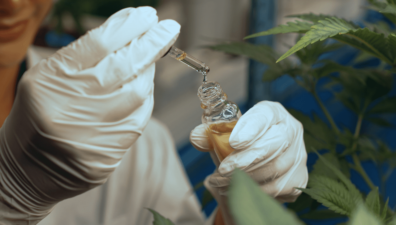 Nota Técnica Lista 481 Obstáculos à Pesquisa com Cannabis