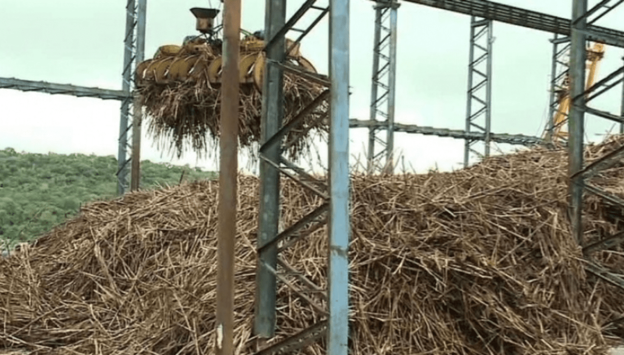 Bagaço de Cana Garante Energia em Períodos de Seca