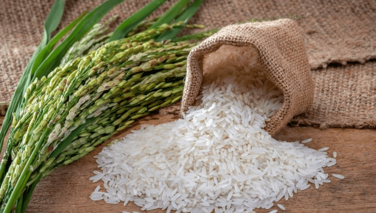 Preço do Arroz Cai Quase 40% em 2025, aponta Cepea