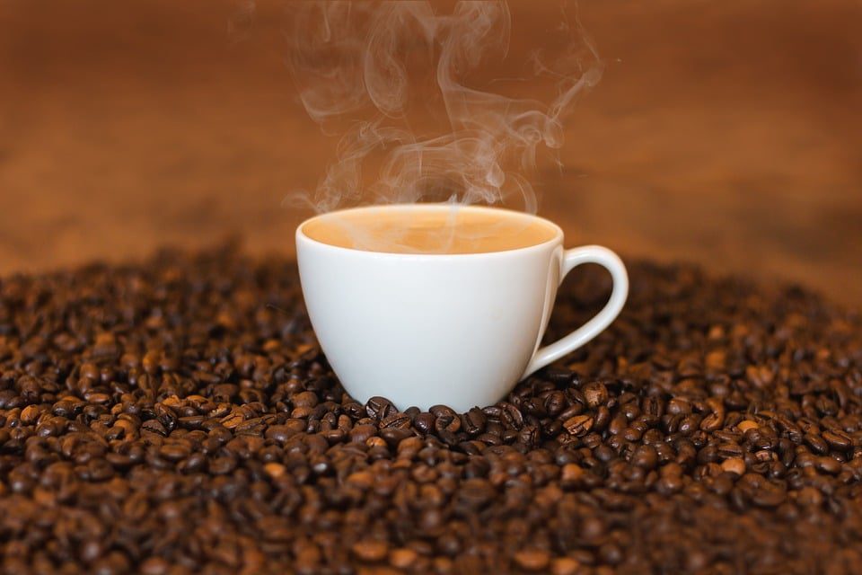 Dia Internacional do Café Enfrenta Desafios Globais - Imagem do artigo original
