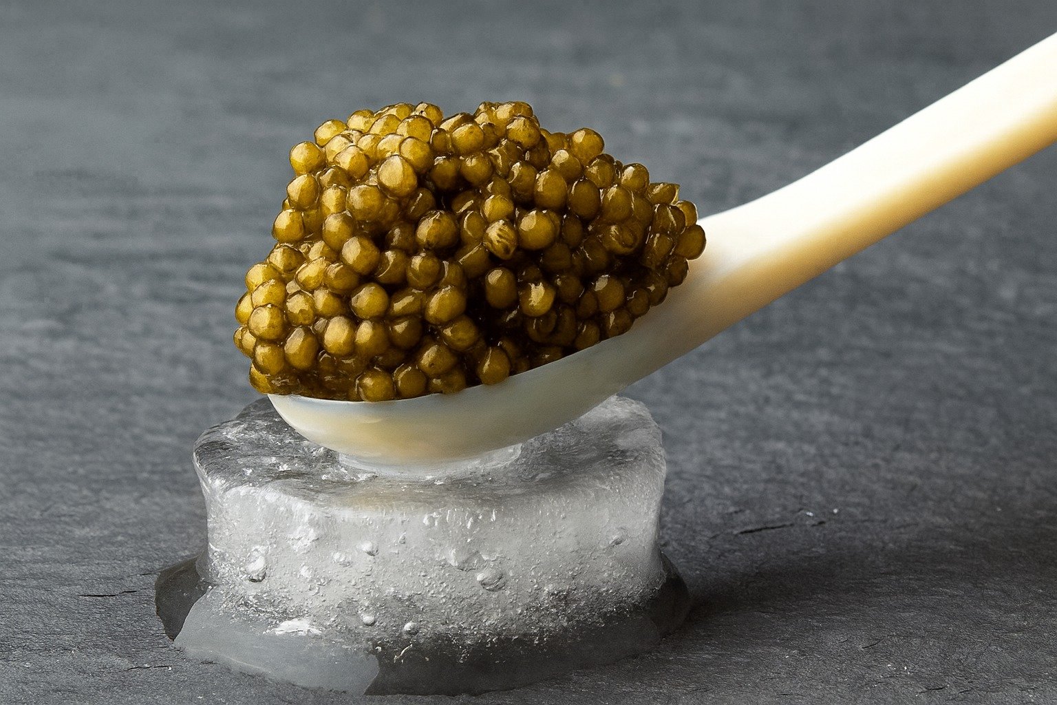 Ibama Apreende 19 t de Golden Caviar no Porto do Pecém - Imagem do artigo original