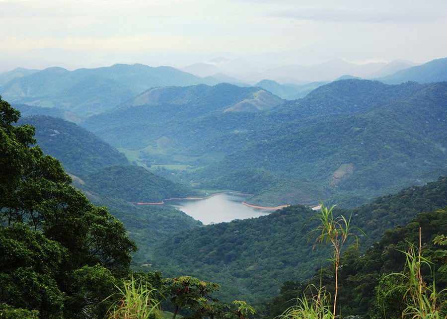 Especialistas Debatem Impactos Climáticos na Mata Atlântica - Imagem do artigo original