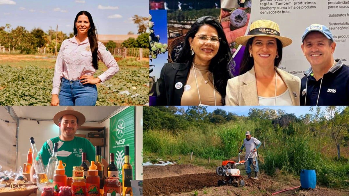 Dia Nacional do Empreendedor Destaca Força do Campo - Imagem do artigo original