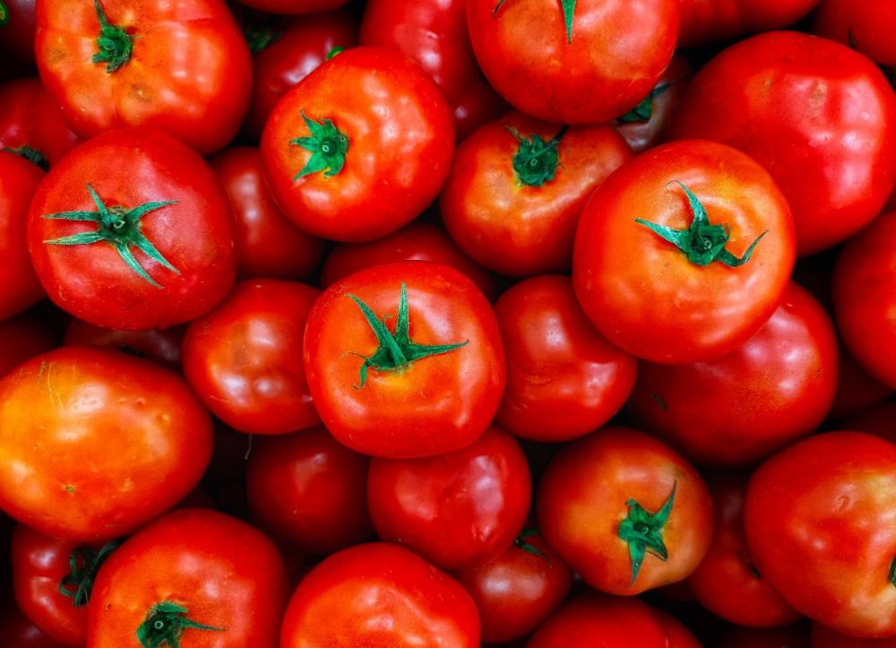 Tomate Fica Até 52% Mais Caro nos Principais Atacados - Imagem do artigo original