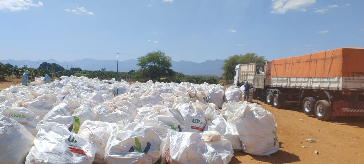 Ação Itinerante Recolhe 195 Mil Embalagens de Agrotóxicos - Imagem do artigo original