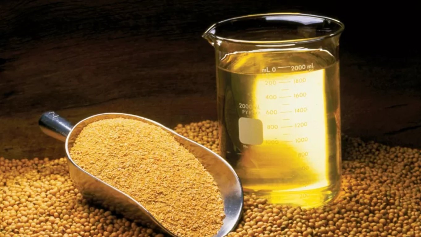 Demanda de Biodiesel Pode Alcançar 10,5 Mi m³ em 2026 - Imagem do artigo original
