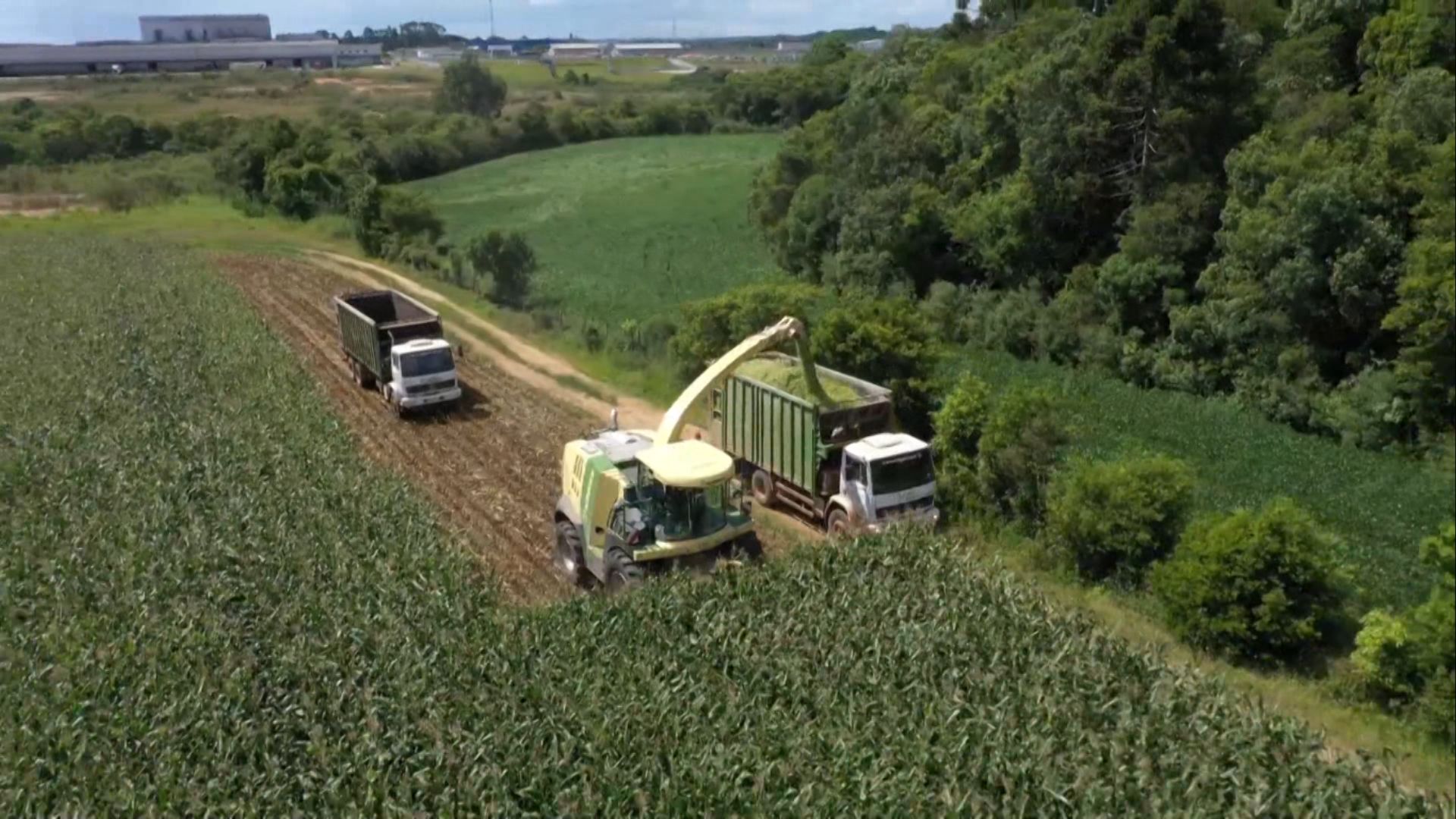 Vedação do Silo: Especialista Indica Prazos de Abertura - Imagem do artigo original