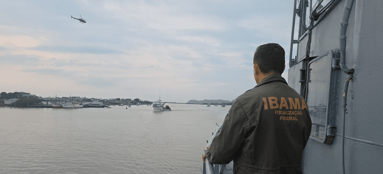 Ibama Apreende 60 Toneladas de Peixe em SC - Imagem do artigo original