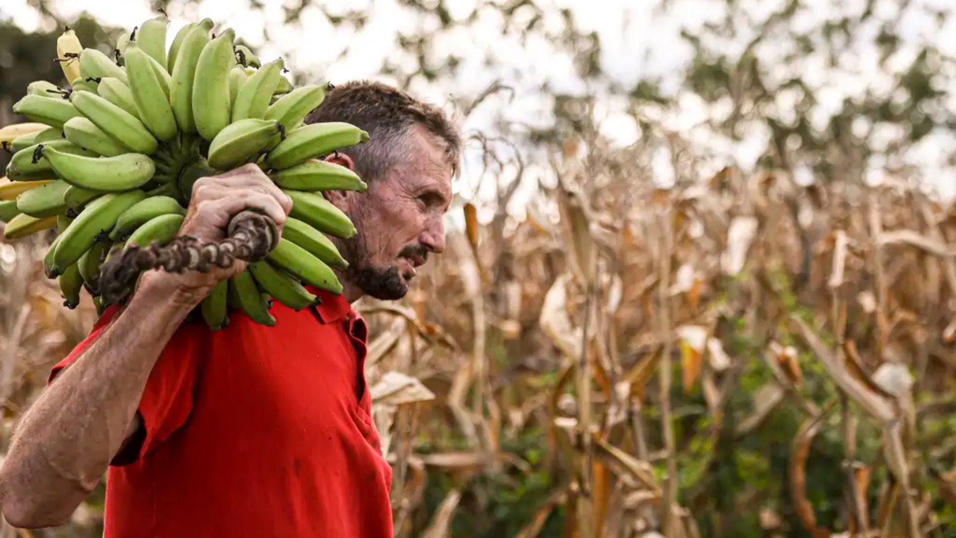 Senar e MDA Fecham Parceria Para Apoiar 100 Mil Famílias - Imagem do artigo original