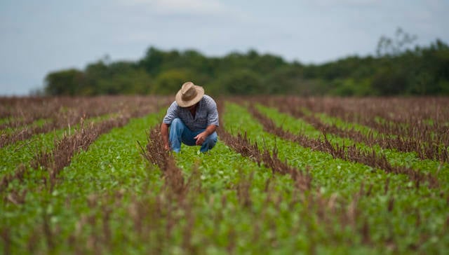 Dia do Engenheiro Agrônomo Celebra 92 Anos da Profissão - Imagem do artigo original