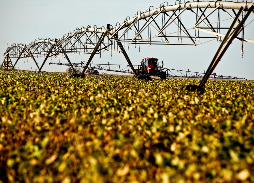 Especialista Aponta Falta de Seguro Rural Como Raiz da Crise no Agro - Imagem do artigo original