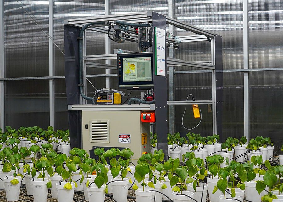 LumiBot Detecta Nematoides na Soja e no Algodão - Imagem do artigo original