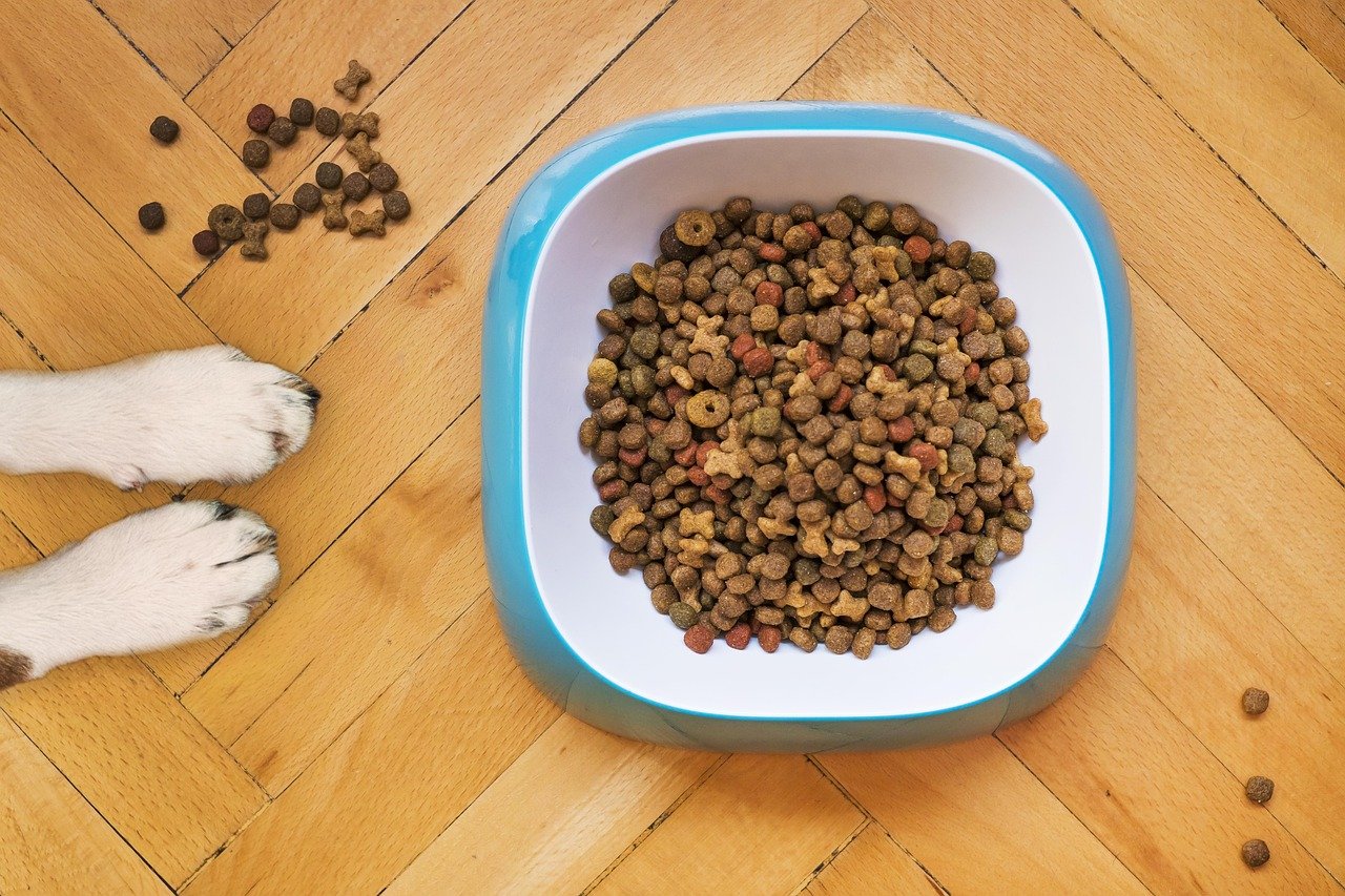 Mapa Fixa Limites de Micotoxinas em Ração para Pets - Imagem do artigo original