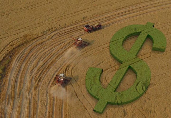 Crédito Rural Recua 12% nos Três Primeiros Meses do Plano Safra - Imagem do artigo original