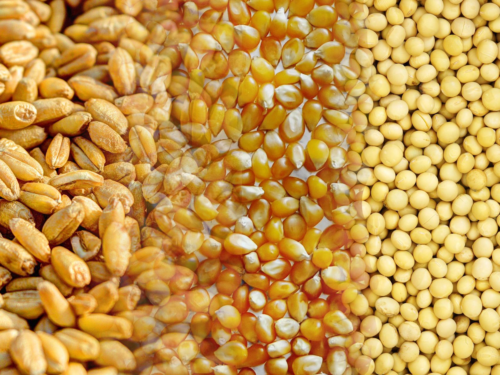 StoneX aponta trimestre final de 2025 decisivo para commodities - Imagem do artigo original