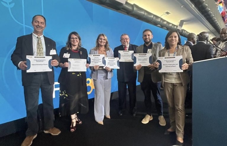 FAO Reconhece Programa Brasileiro De Leite Sustentável - Imagem do artigo original