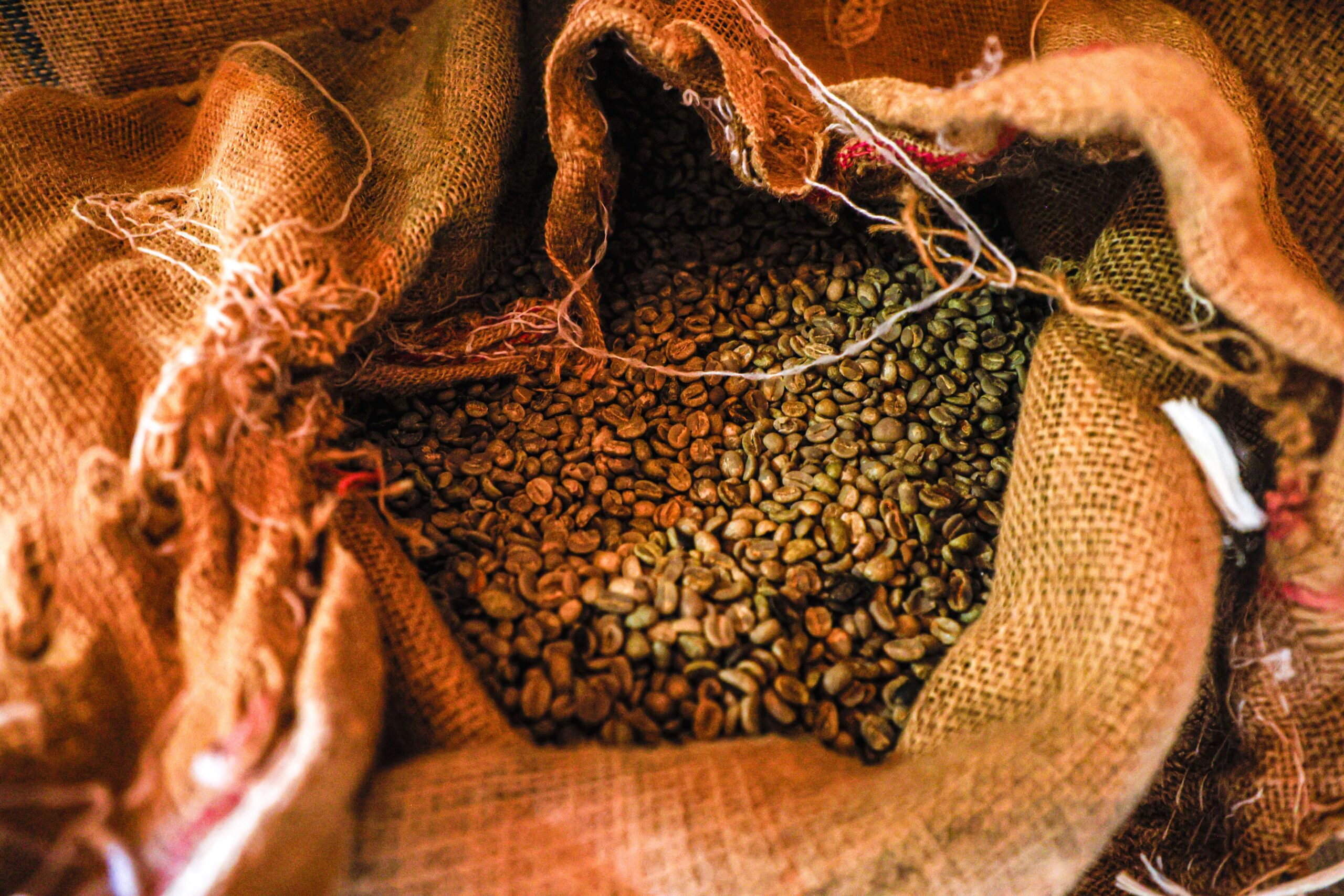 Analista Vê Acordo Brasil-EUA Reduzir Taxa Sobre Café - Imagem do artigo original