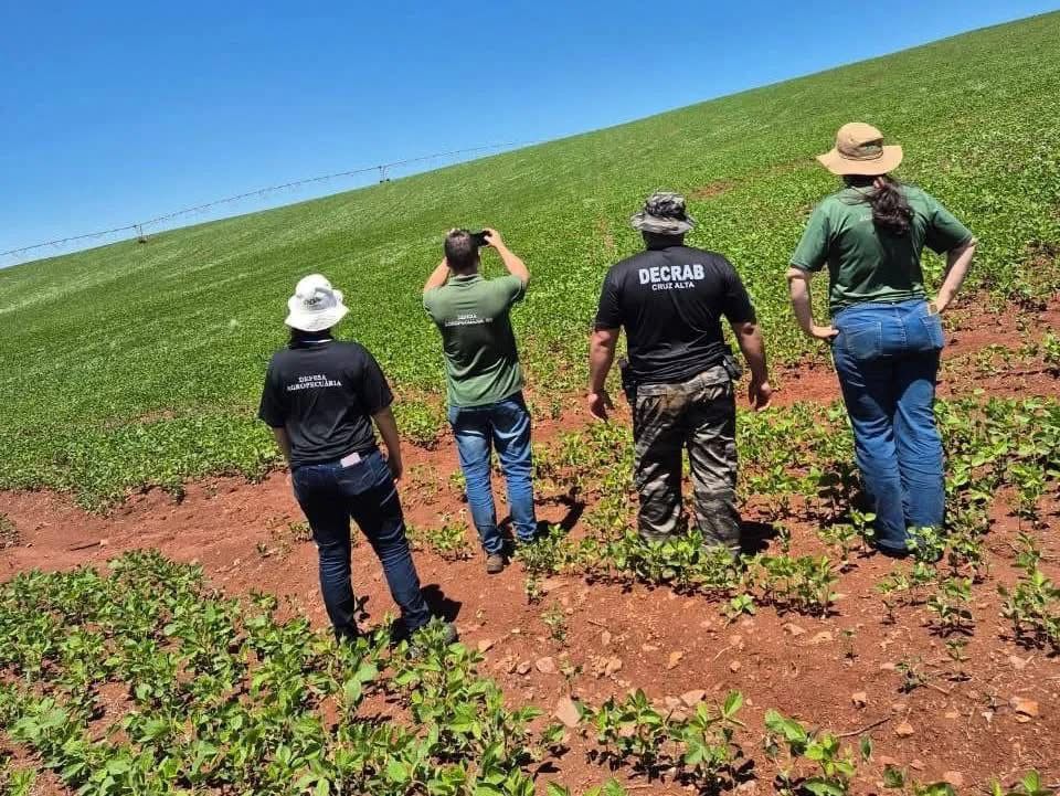 Produtor Autuado por Plantio Irregular de Soja no RS - Imagem do artigo original