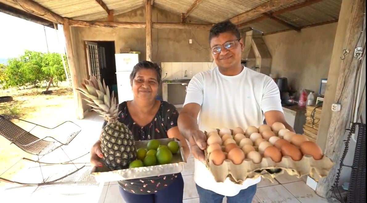 Diversificação Garante Estabilidade a Produtor Familiar - Imagem do artigo original