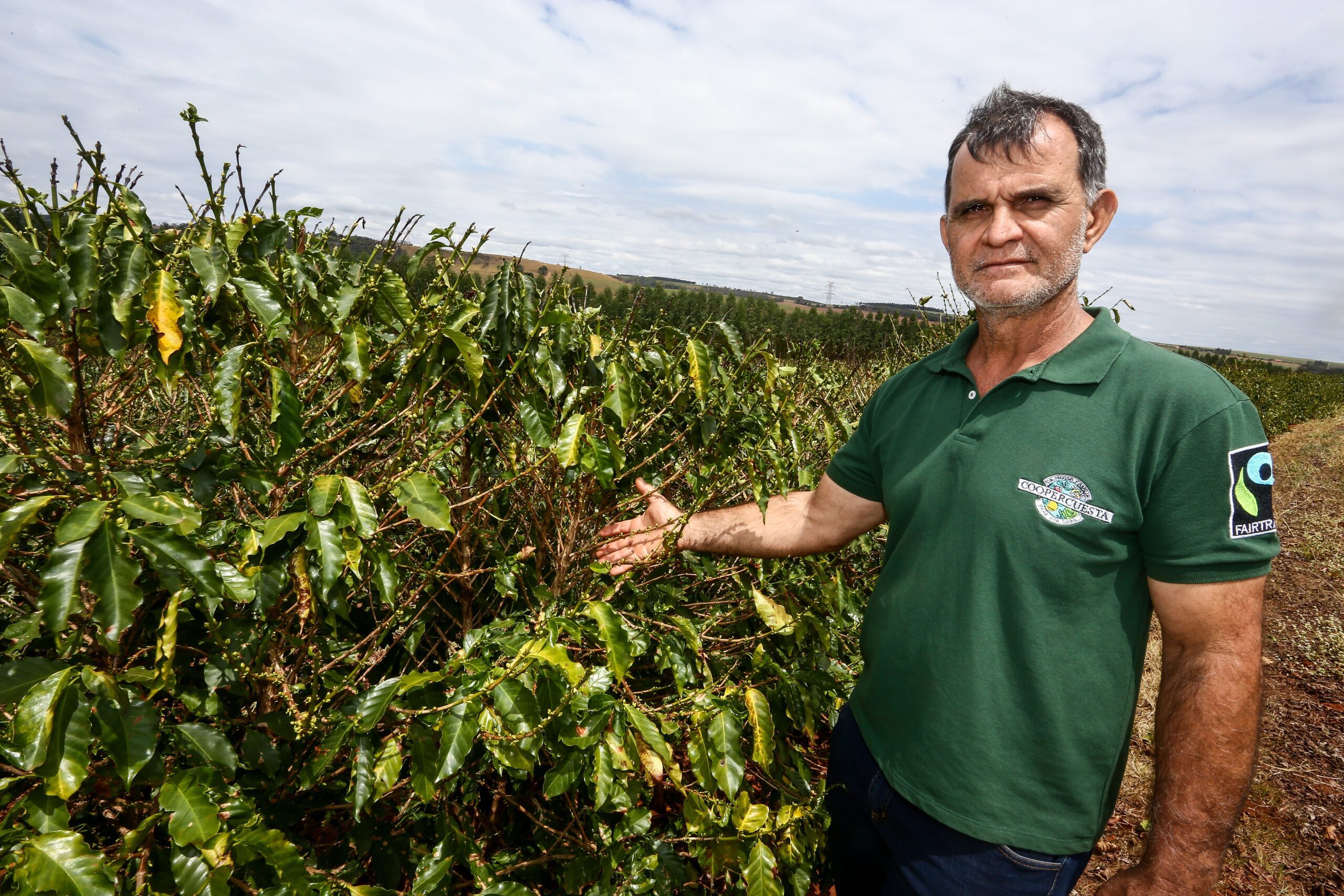 Agricultura Familiar de SP Bate R$ 50 Mi em 2025 - Imagem do artigo original