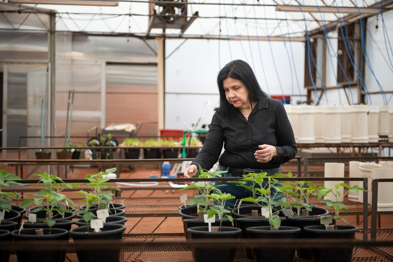 Mariangela Hungria Entra para Time100 Climate 2025 - Imagem do artigo original