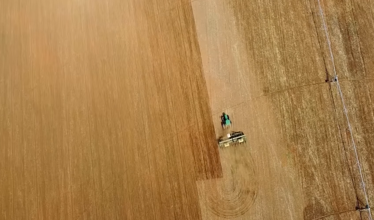 Aprosoja MG vê Preços Ruins e Clima Incerto na Safra 25/26 - Imagem do artigo original