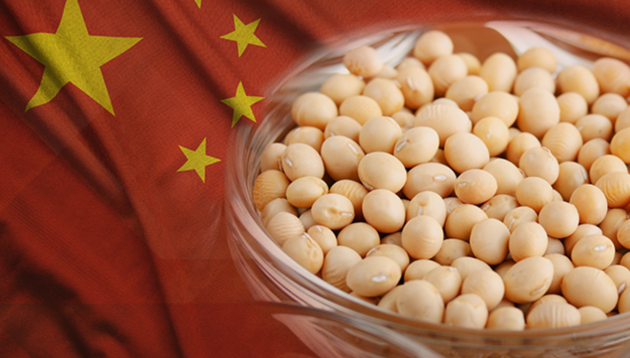 Importações da China de Soja Sobem 17,2% em Outubro