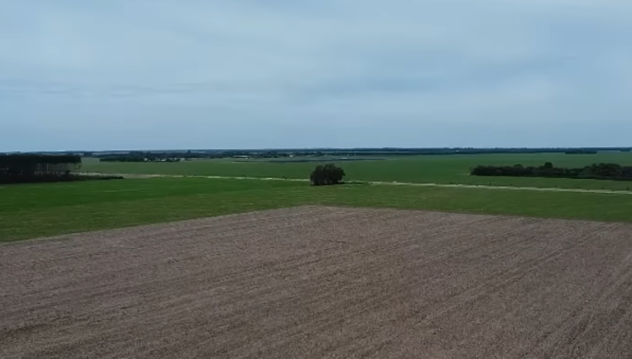 Chuvas Irregulares Ameaçam Safra de Soja em Mato Grosso