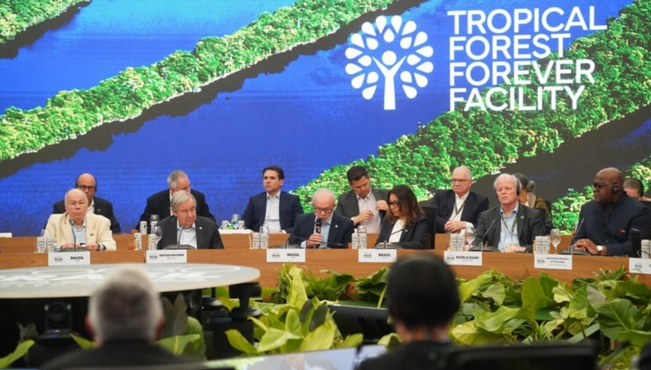 Fundo Florestal Para Sempre Capta US$ 5,5 Bi no Lançamento