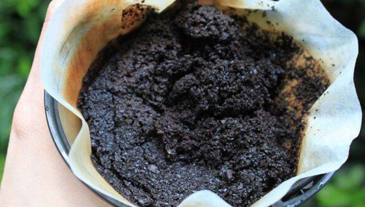 Bricoffee Converte Borra de Café em Pellets e Créditos de Carbono