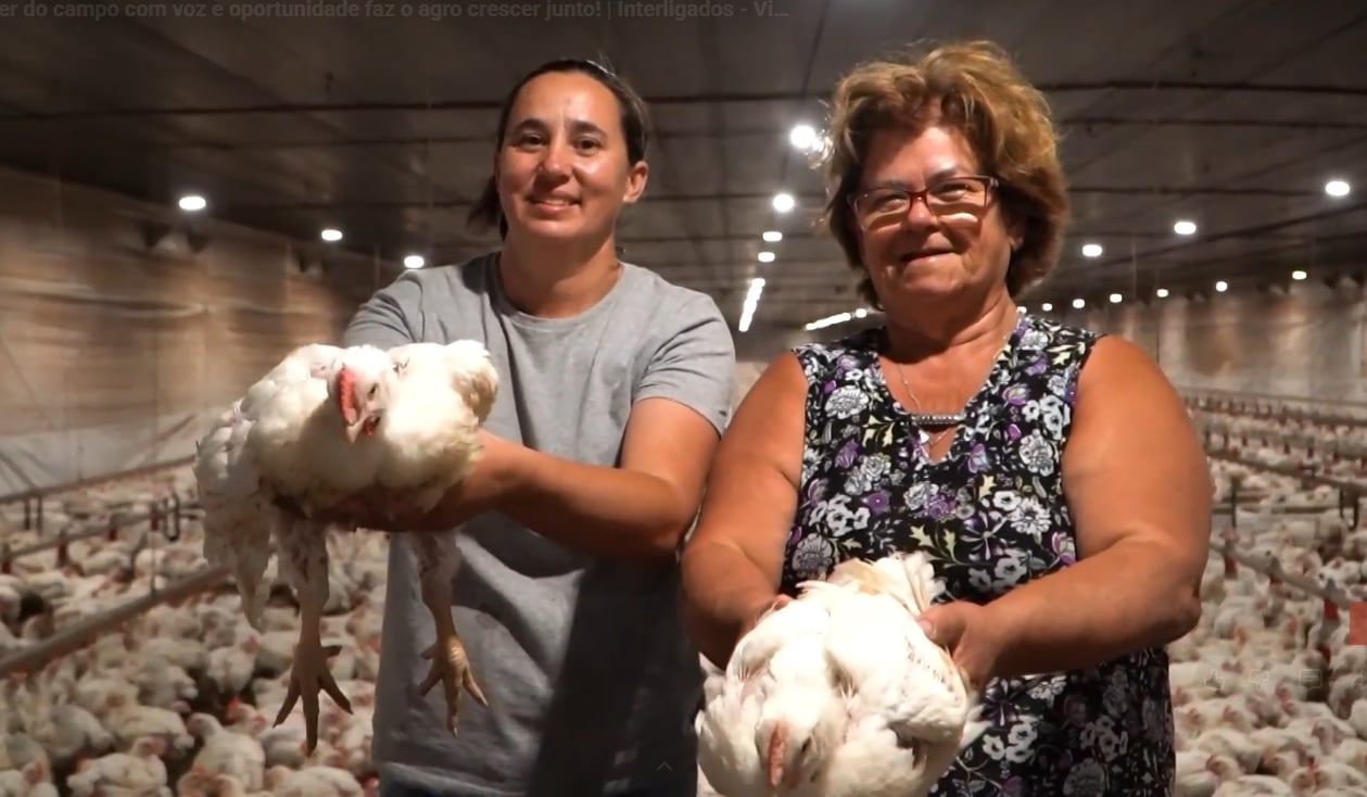 Mulheres Lideram Avicultura com Inovação no Campo - Imagem do artigo original