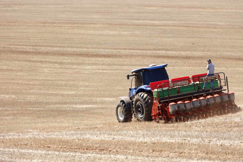 Plantio de Soja Atrasado no Paraná Eleva Incertezas - Imagem do artigo original