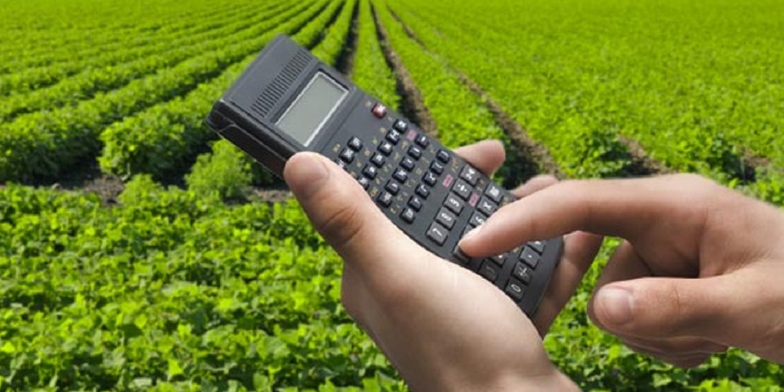 Juros Altos Elevam Dívidas e Pressionam o Agronegócio - Imagem do artigo original