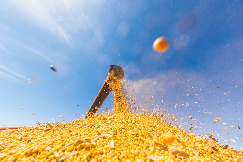 Produção Brasileira de Grãos Sobe 63% em Uma Década - Imagem do artigo original