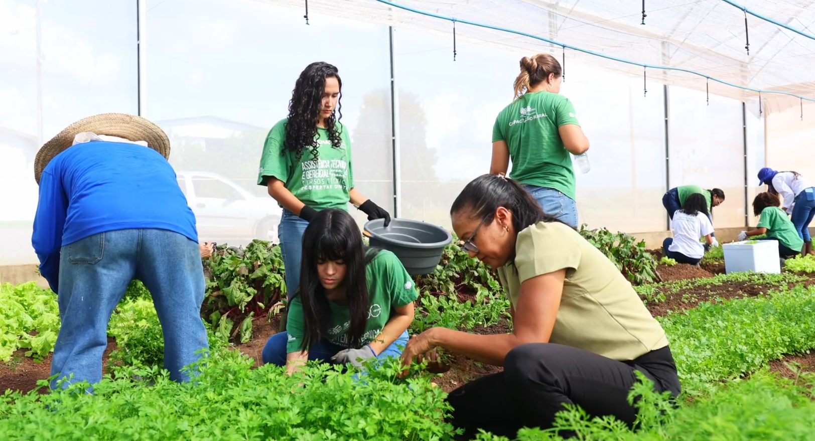 Cooperativas Baianas Movimentam R$ 9,3 Bi em 2024 - Imagem do artigo original