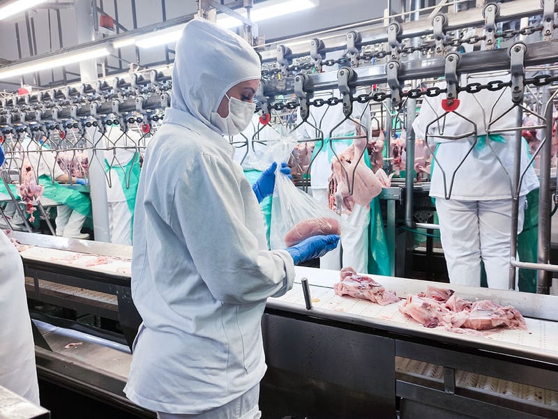 China Retoma Compras de Frango do Brasil, Diz ABPA - Imagem do artigo original