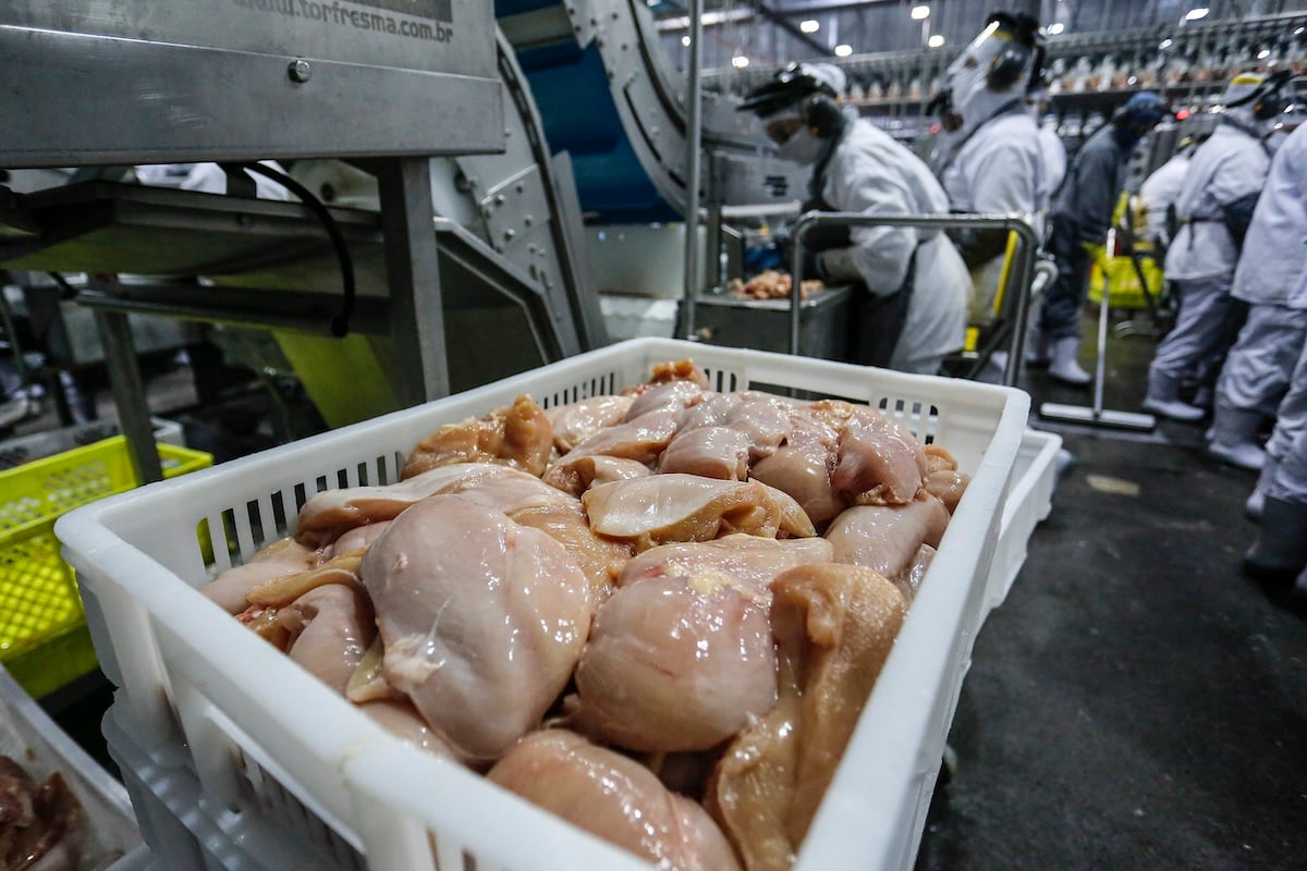 China Retoma Importação de Frango Brasileiro; RS segue vetado - Imagem do artigo original