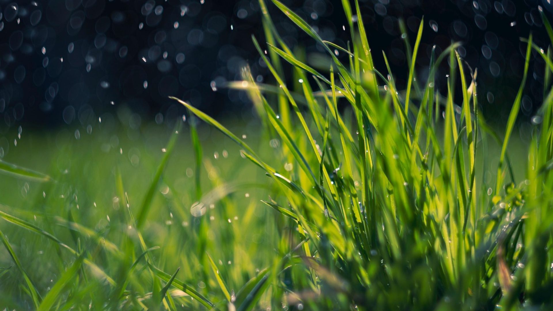Tempo Firme no Sul e Chuva no Norte e Centro-Oeste - Imagem do artigo original