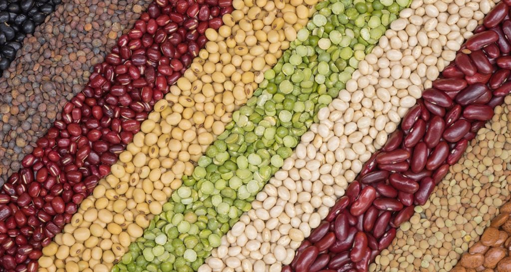 Tecnologia Automatiza Classificação de Grãos no Paraná - Imagem do artigo original